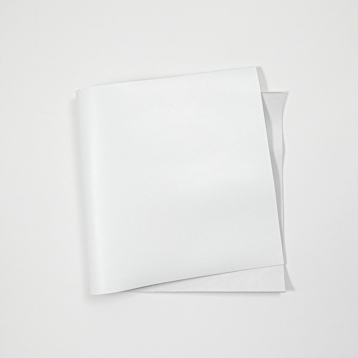 Dyed Veg Tan Leather Panels - White