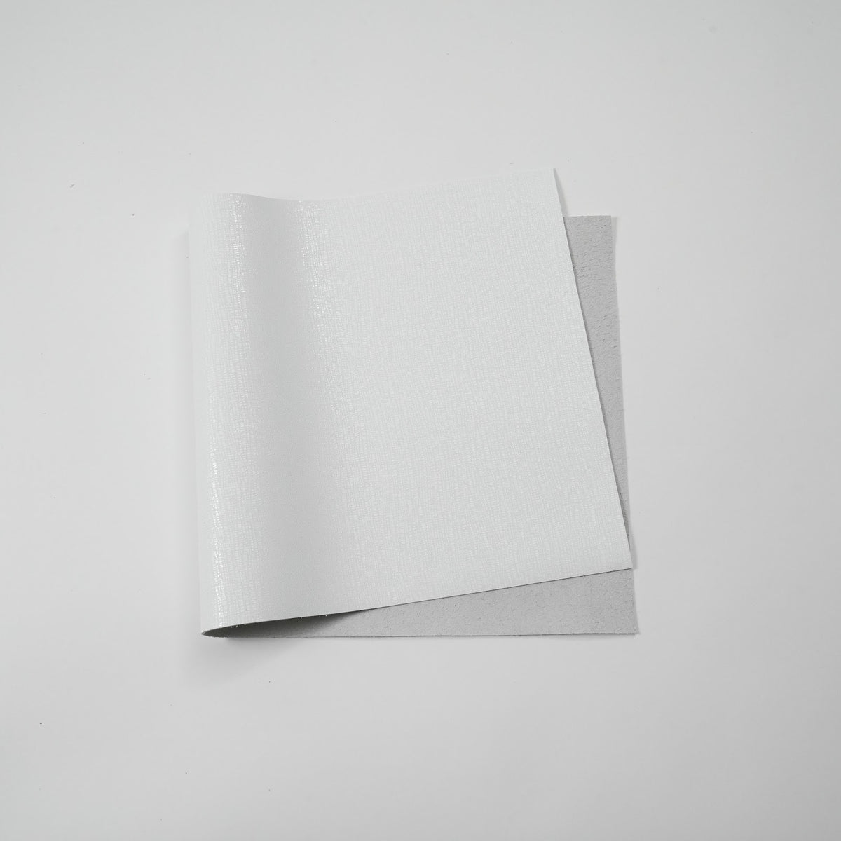 Lizard Embossed Cowhide Leather Panels, 3-3.5 oz - White