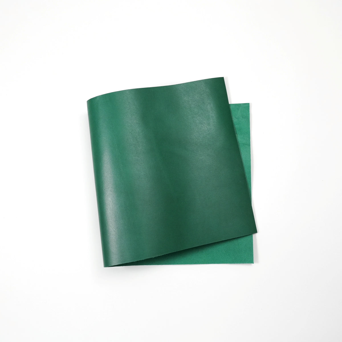 Dyed Veg Tan Leather Panels - Green