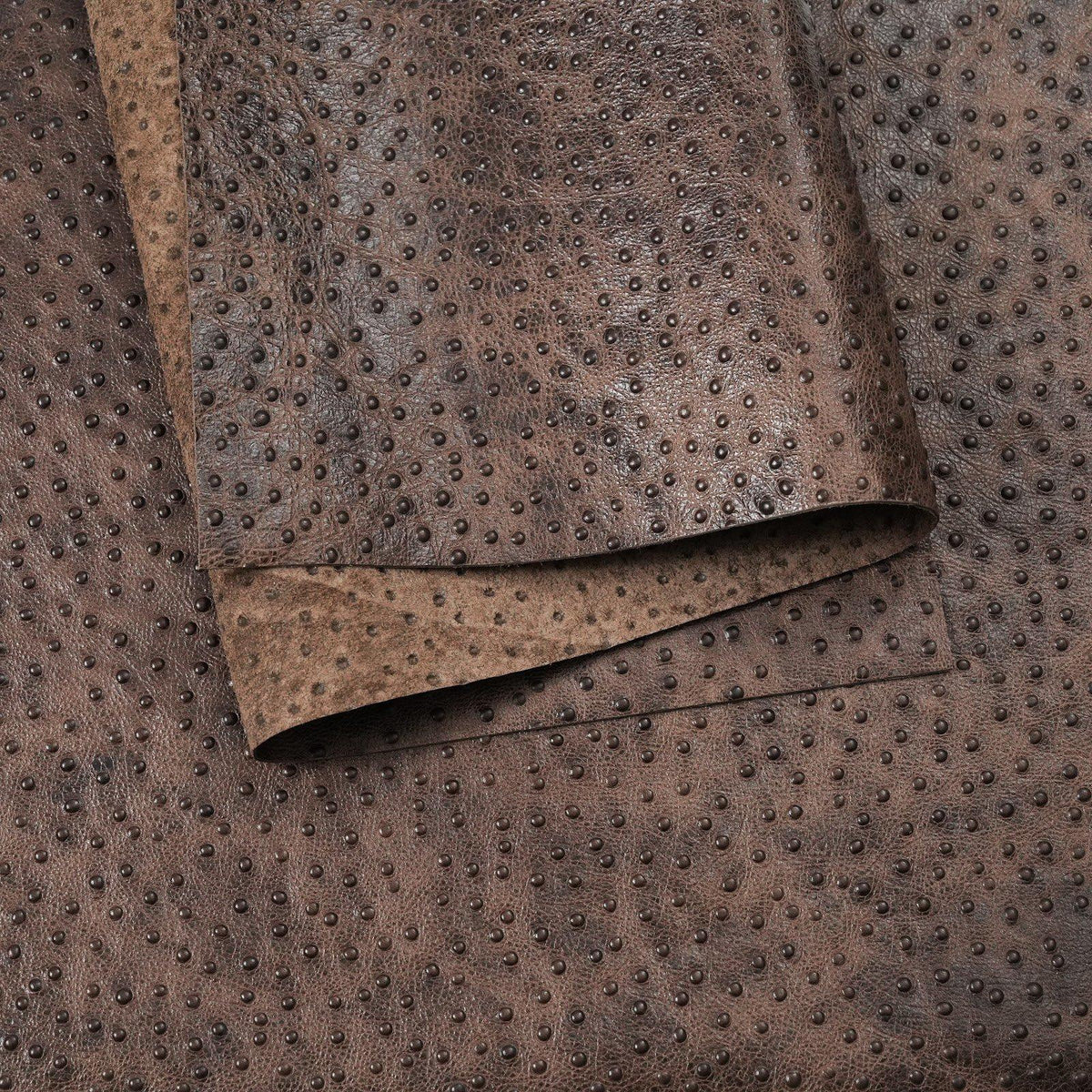 Ostrich Embossed Cowhide Leather Panels, 2.5-3 oz - Brown