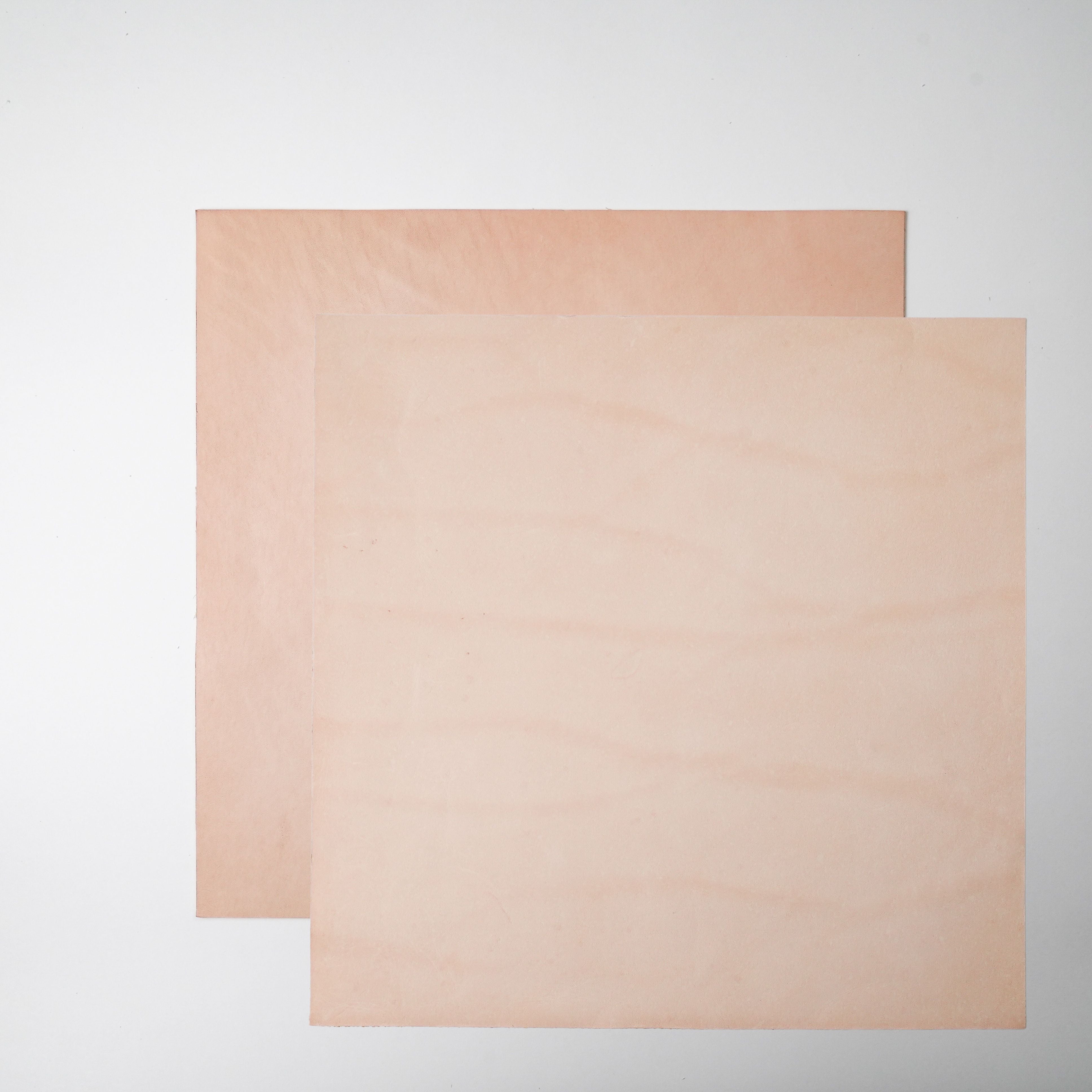 Veg Tan Leather Panels - Economy Grade, 2-Pack