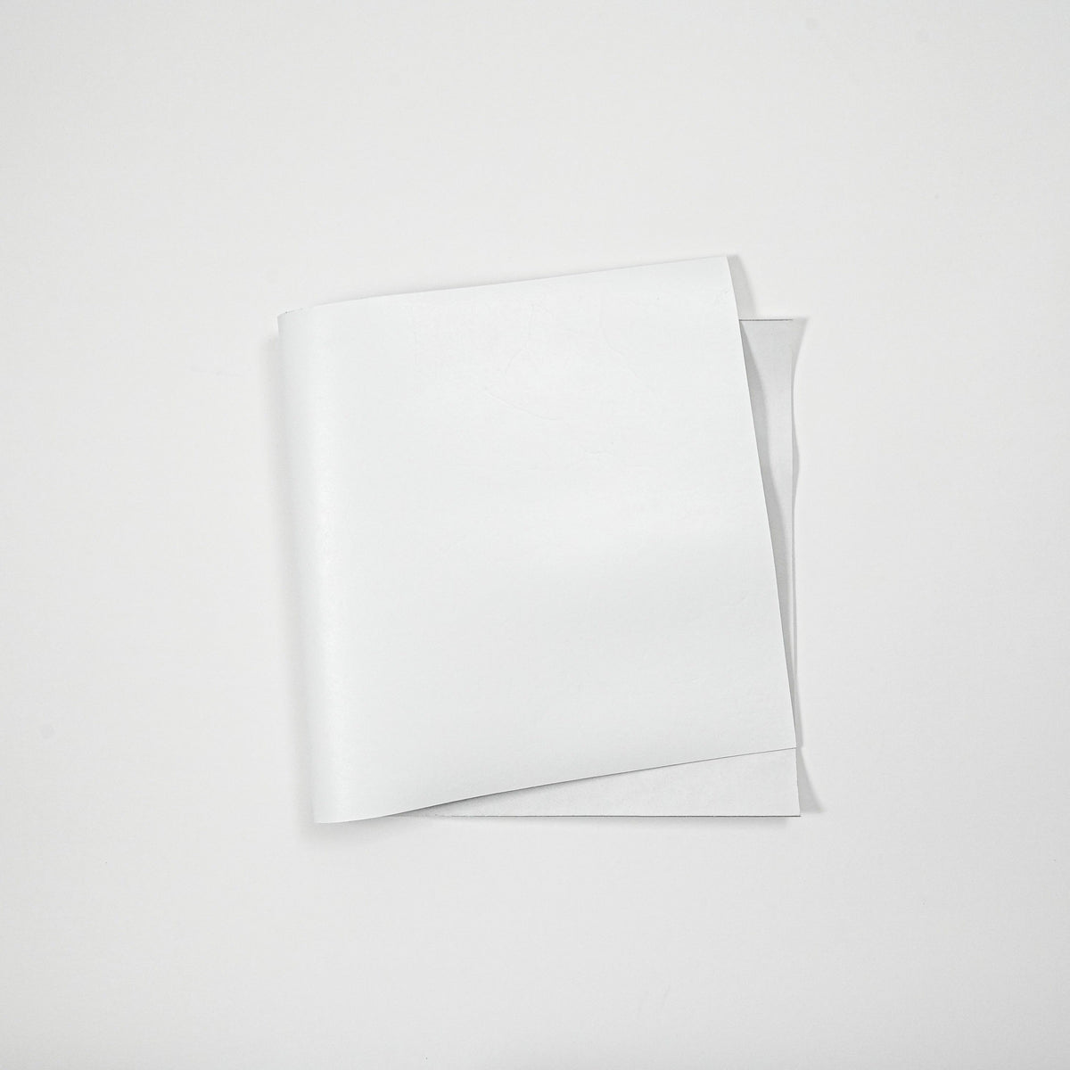 Dyed Veg Tan Leather Panels - White